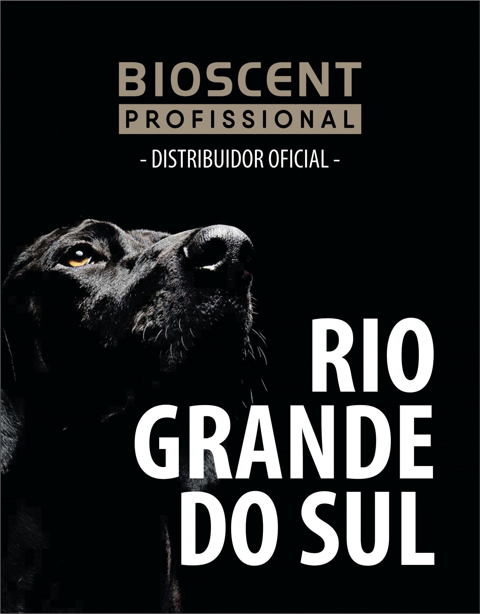 RIO GRANDE DO SUL